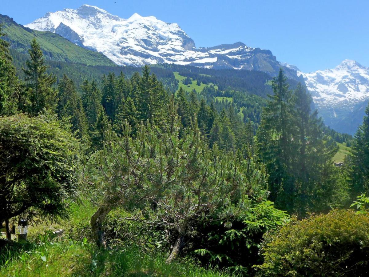 Chalet Zwaergli By Interhome Wengen Eksteriør bilde