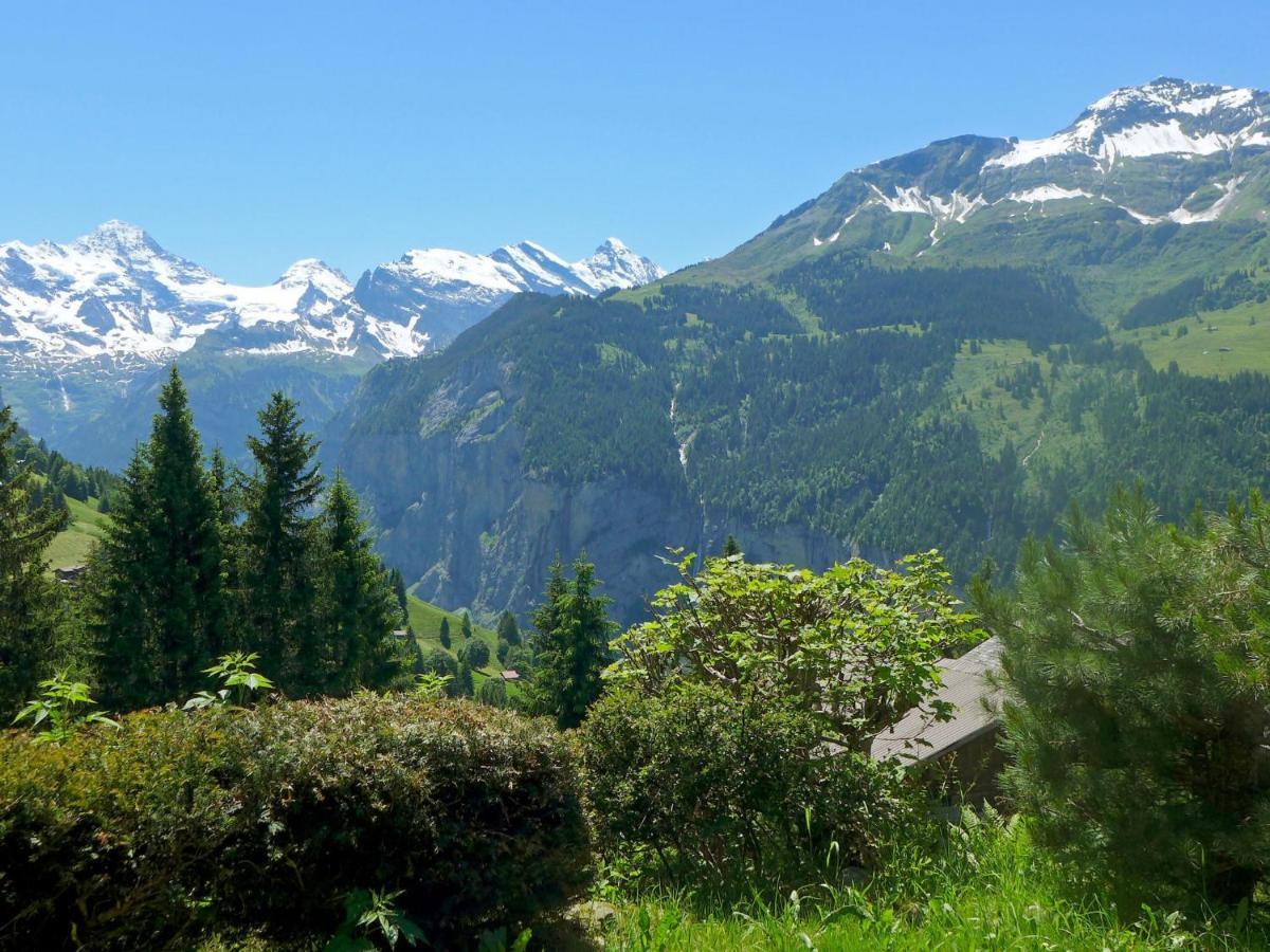 Chalet Zwaergli By Interhome Wengen Eksteriør bilde