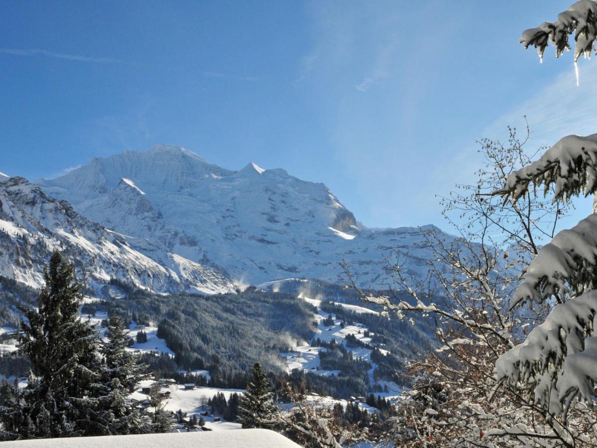 Chalet Zwaergli By Interhome Wengen Eksteriør bilde